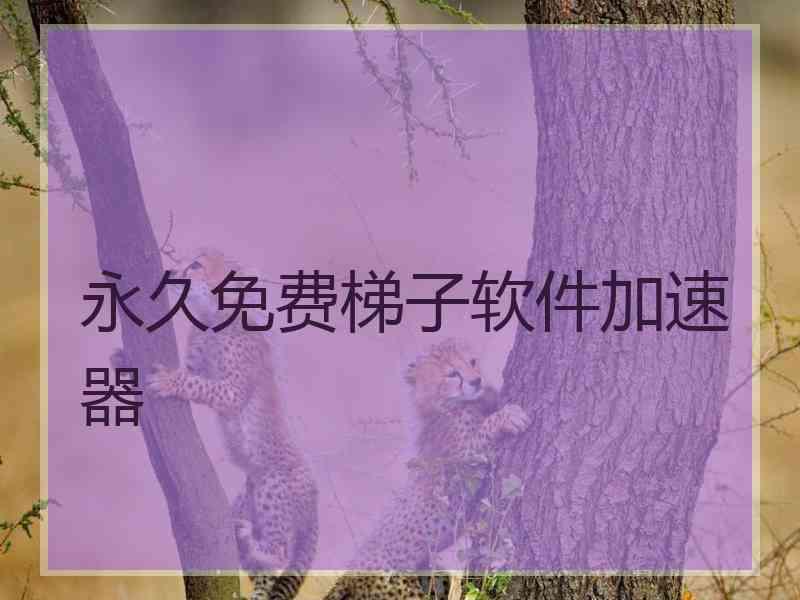 永久免费梯子软件加速器