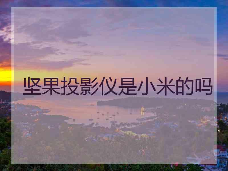 坚果投影仪是小米的吗