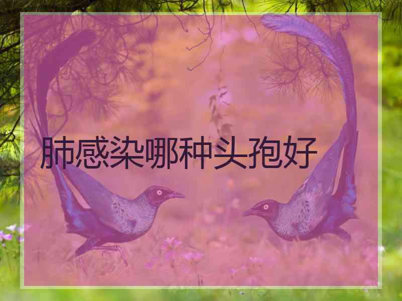 肺感染哪种头孢好