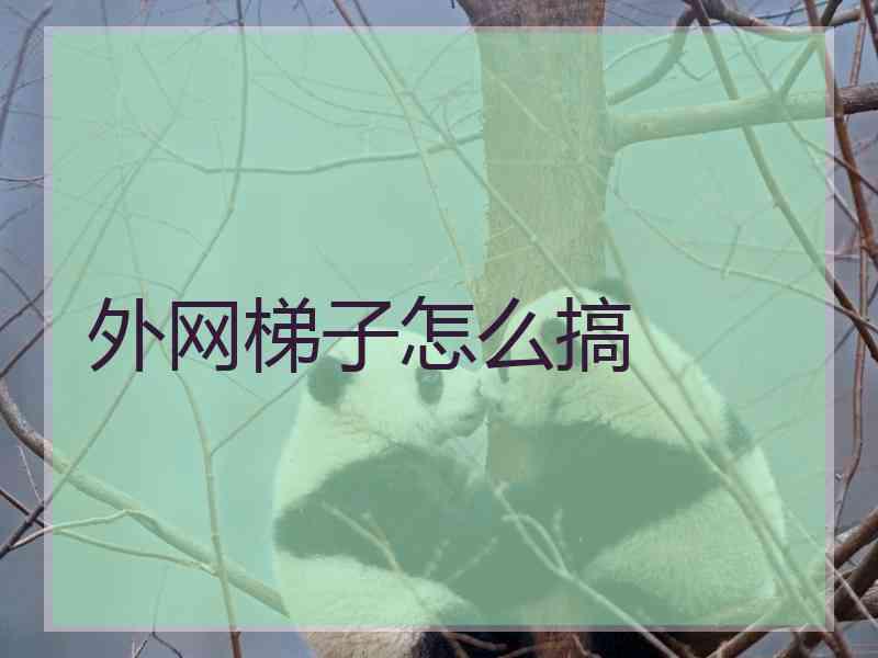 外网梯子怎么搞