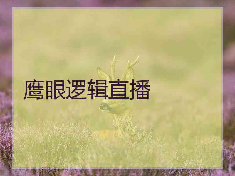 鹰眼逻辑直播