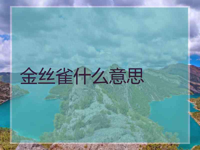 金丝雀什么意思