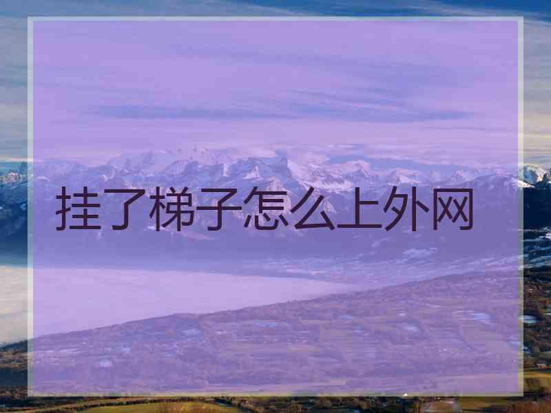 挂了梯子怎么上外网