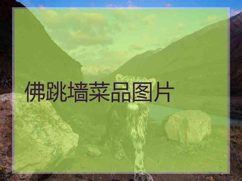 佛跳墙菜品图片
