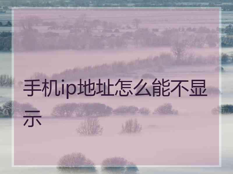 手机ip地址怎么能不显示