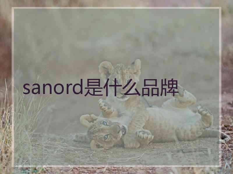 sanord是什么品牌