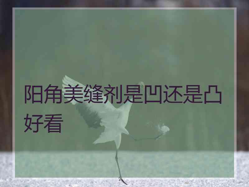 阳角美缝剂是凹还是凸好看