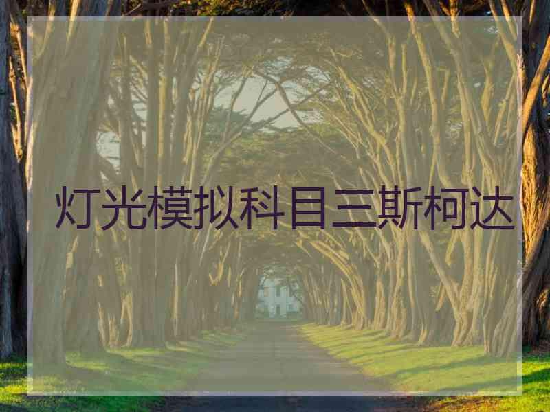灯光模拟科目三斯柯达