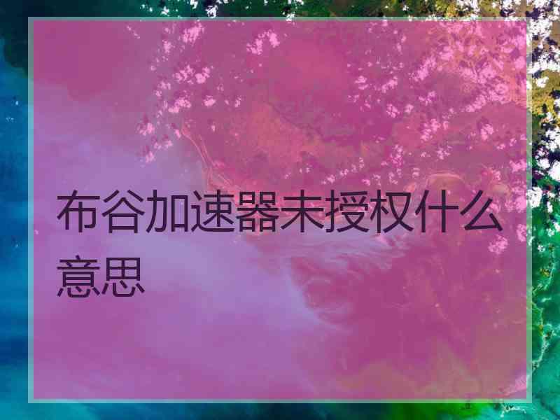 布谷加速器未授权什么意思