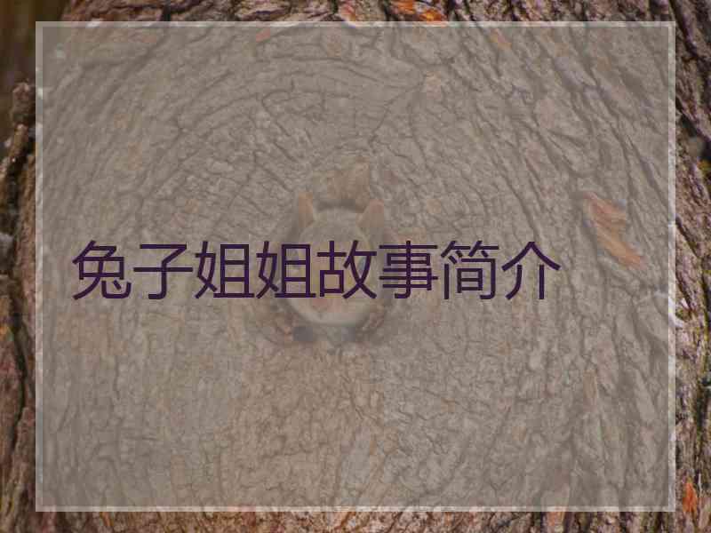 兔子姐姐故事简介