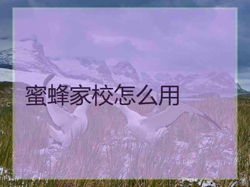 蜜蜂家校怎么用