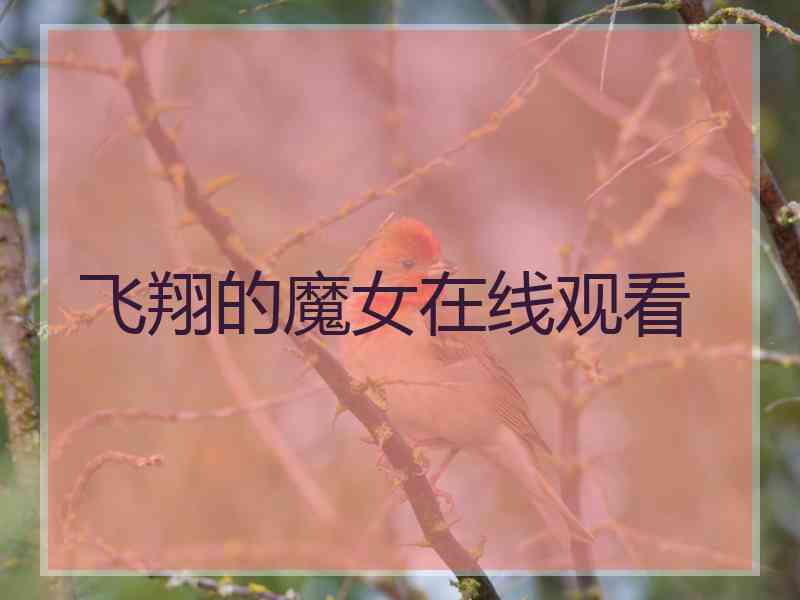 飞翔的魔女在线观看