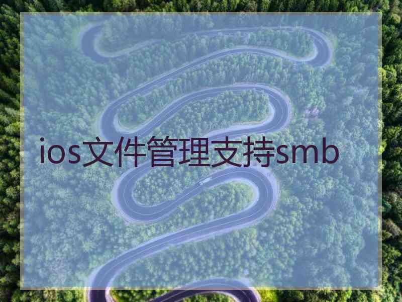 ios文件管理支持smb