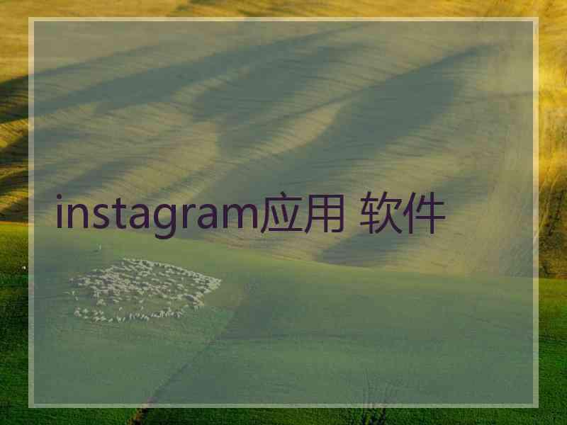 instagram应用 软件