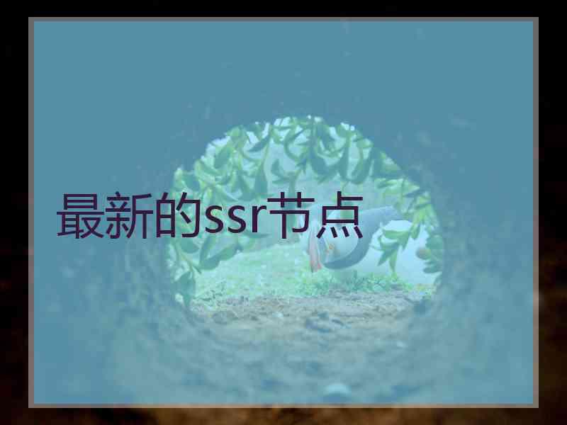最新的ssr节点