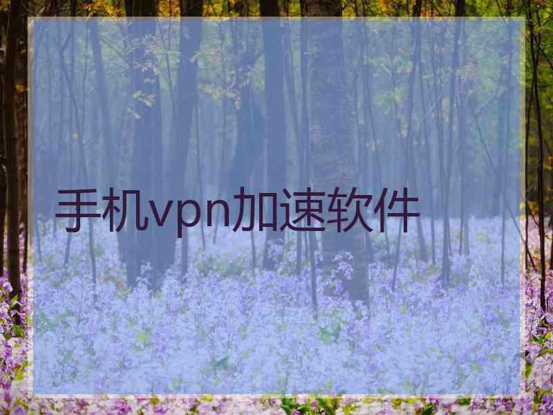手机vpn加速软件