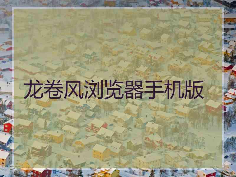 龙卷风浏览器手机版