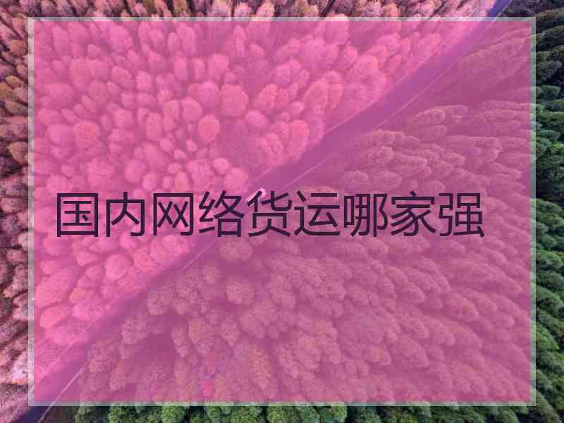 国内网络货运哪家强