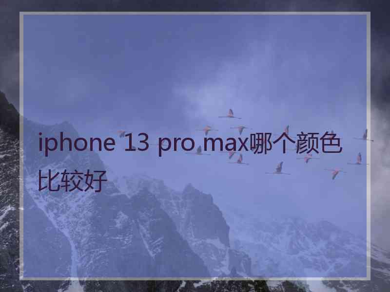 iphone 13 pro max哪个颜色比较好
