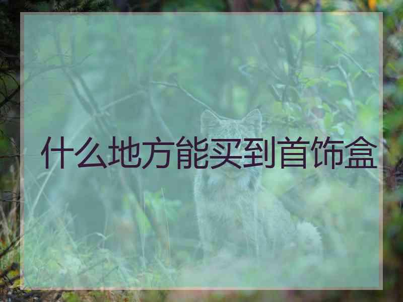 什么地方能买到首饰盒