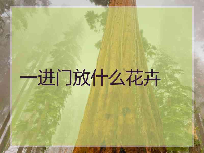 一进门放什么花卉