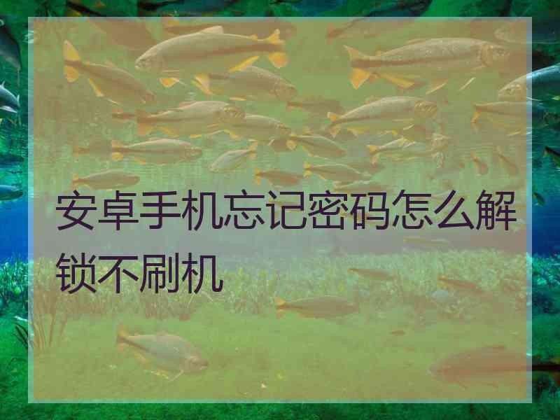 安卓手机忘记密码怎么解锁不刷机