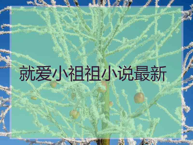 就爱小祖祖小说最新