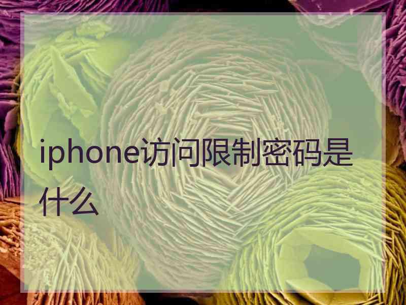 iphone访问限制密码是什么