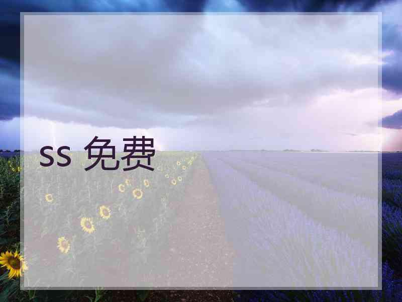 ss 免费