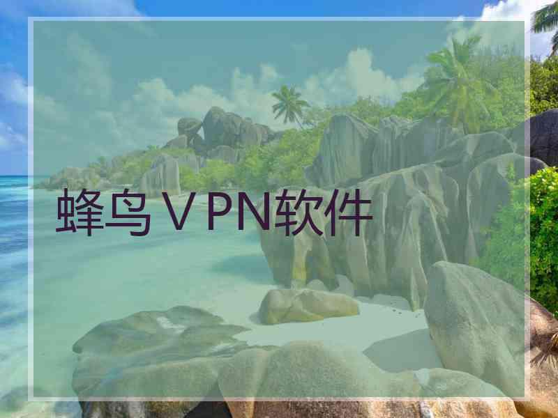 蜂鸟ⅤPN软件