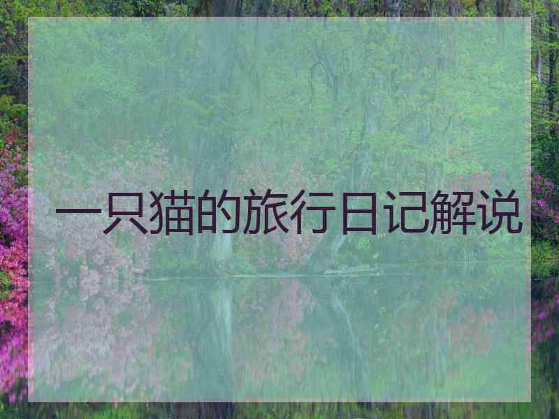 一只猫的旅行日记解说
