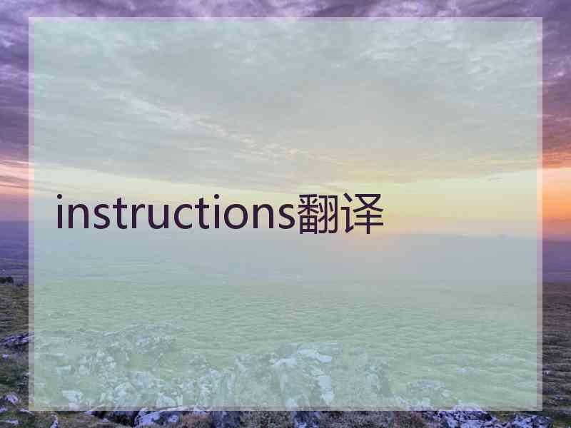 instructions翻译