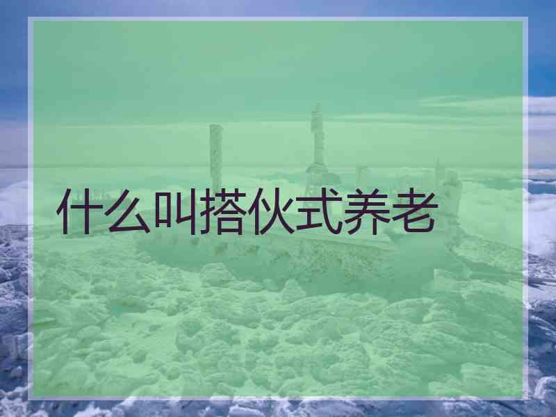 什么叫搭伙式养老