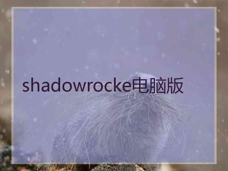 shadowrocke电脑版
