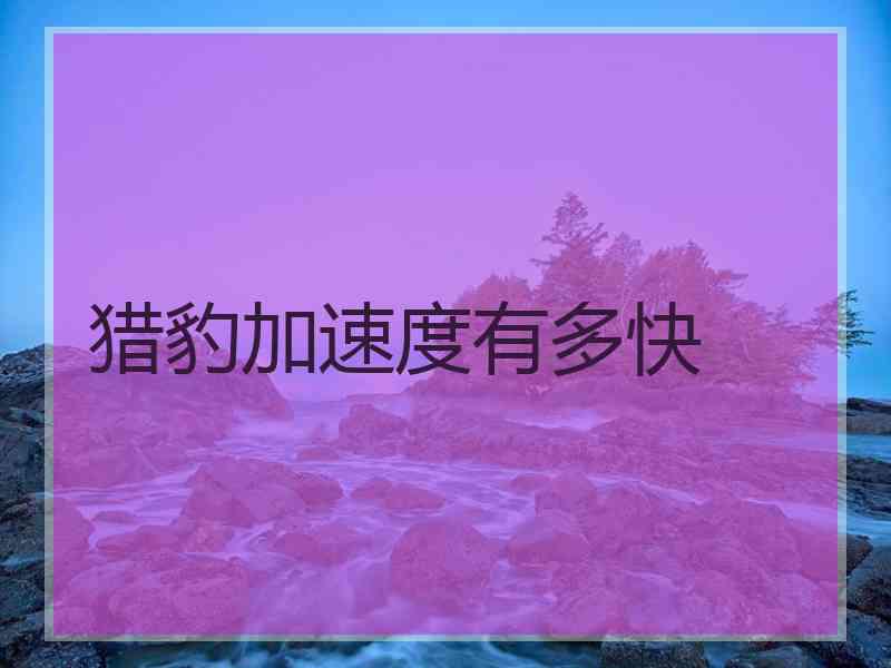 猎豹加速度有多快
