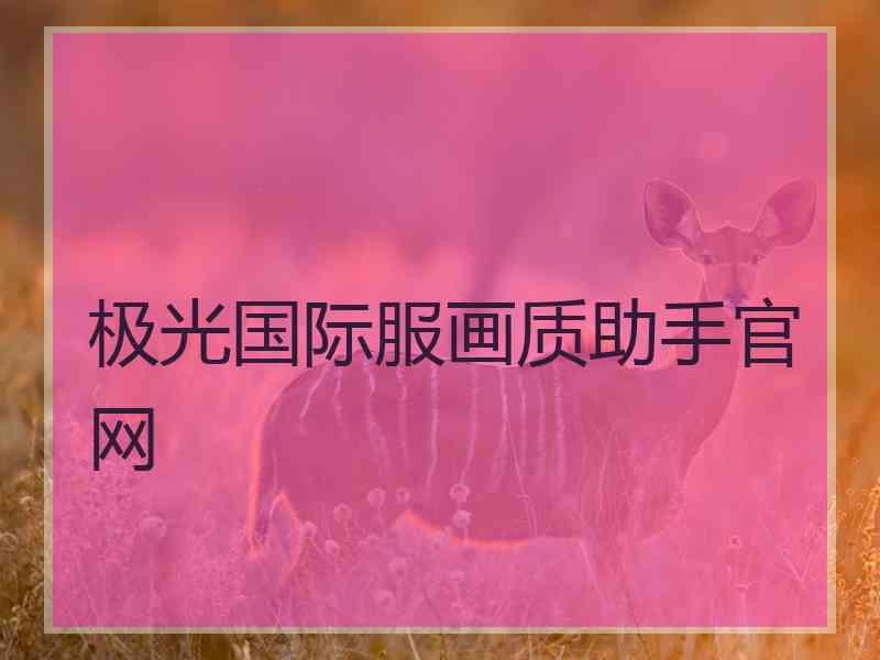 极光国际服画质助手官网
