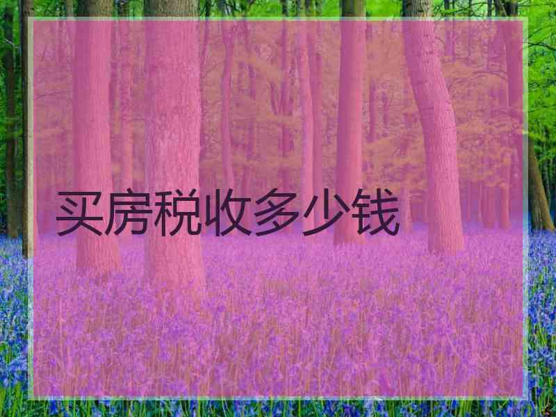 买房税收多少钱