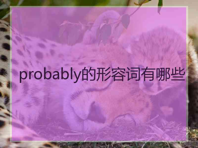 probably的形容词有哪些