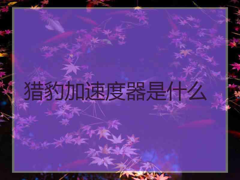 猎豹加速度器是什么