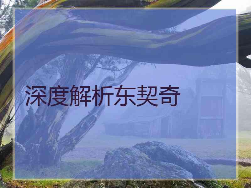 深度解析东契奇