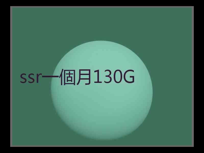ssr一個月130G
