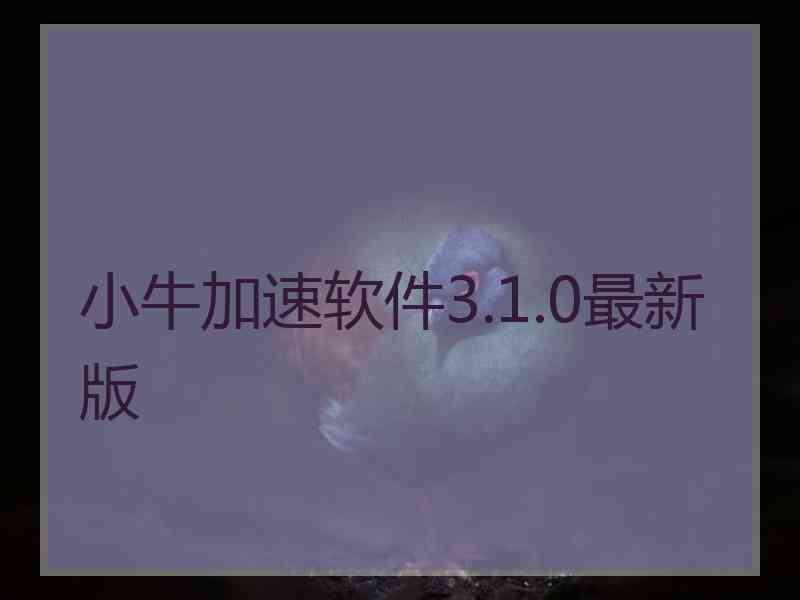 小牛加速软件3.1.0最新版