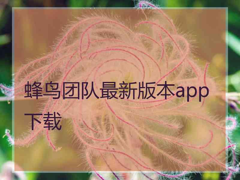 蜂鸟团队最新版本app下载