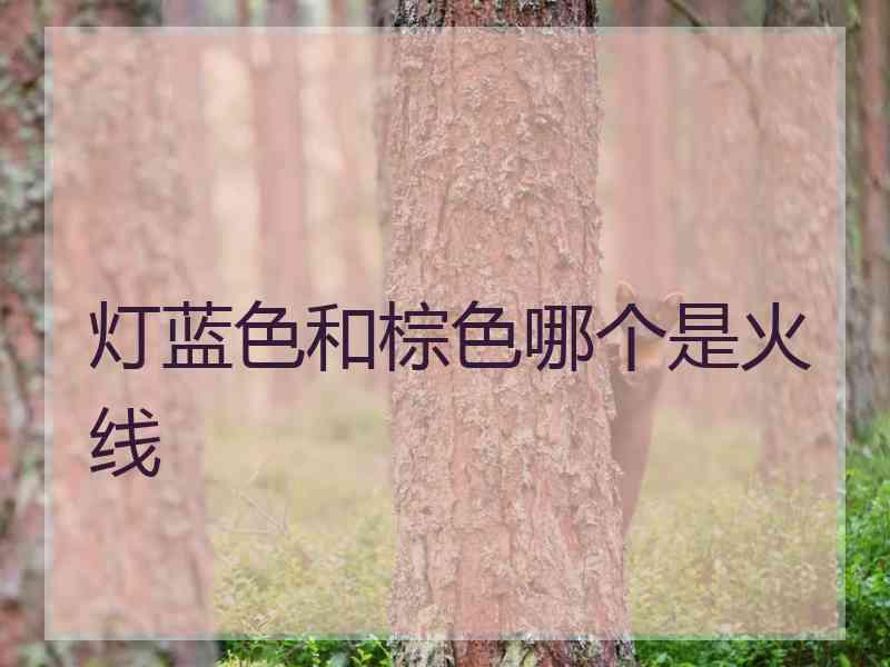 灯蓝色和棕色哪个是火线