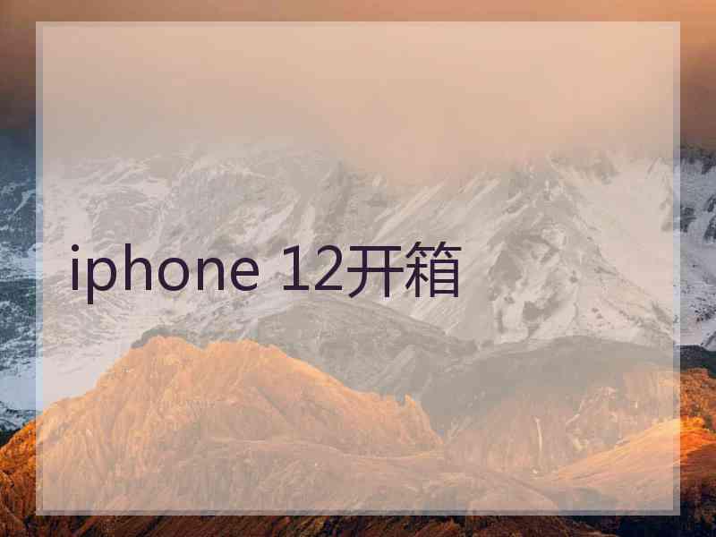 iphone 12开箱