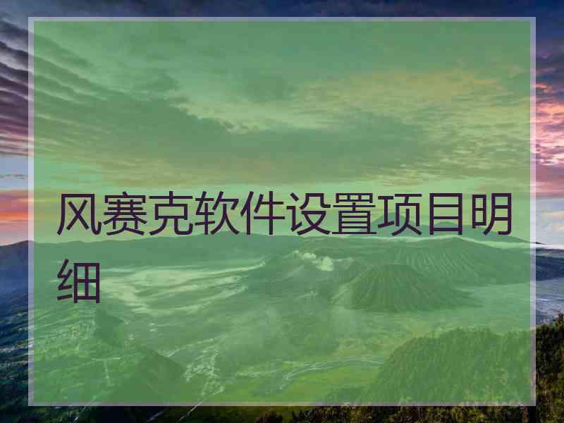 风赛克软件设置项目明细