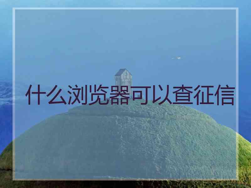 什么浏览器可以查征信