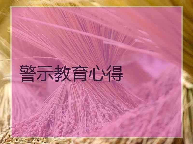 警示教育心得