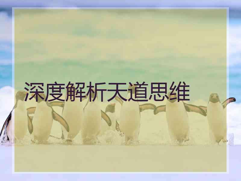 深度解析天道思维