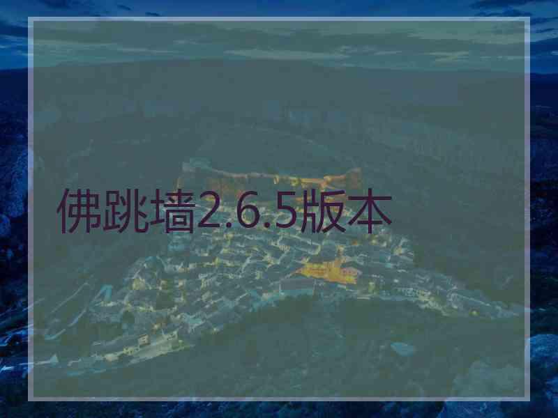 佛跳墙2.6.5版本